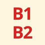 Немецкий для продвинутых (B1 и B2)