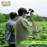 %? sung&taro %? (набор открыт)