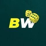 BetWinner Ca$ino