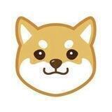 patterndoge🇨🇳社区，格局盘
