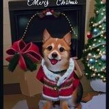 Santafloki中文社区