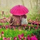 آوای عاشقی