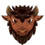 Bison Coin | $ADA meme Coin