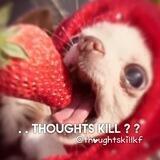 . . thoughts kill ? ?
