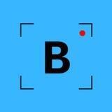 Визор