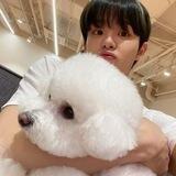 jihoon ! ♡.