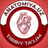 Anatomiya.uz o‘quv kursi