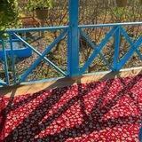 Красоты Ирана