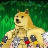 DogePump Entry Portal