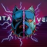 PITAVERSE