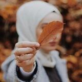 فرآشـهہ 🦋