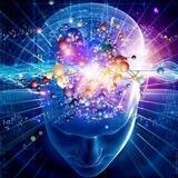 Biohacking - Nootropicos - 🍄🍁🧠💊