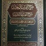 المذهب الشافعي