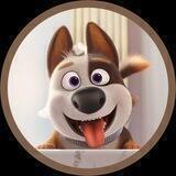 Bruiser Inu | Official