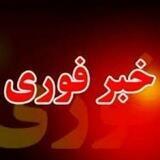 خبر فوری