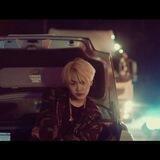 《 D Town 》