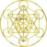 The Soul Matrix - Steve Nobel