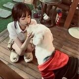 小泽拉手对接