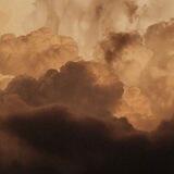 iel's archive