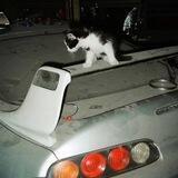 NFS channel