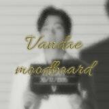 V. Moodboard.