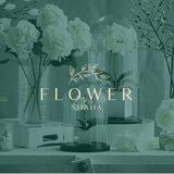 FLOWER SHAHA 🥰🌹🌴💐🌷🌺🌻🌸🪴