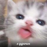 Мяу.