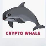 Crypto Whale News