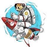 Doge-1 Mission To The Moon