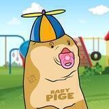Baby Pige Inu - Official Community 🍼