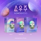 BTS SOWOOZOO DVD FULL