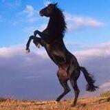 Powerfx