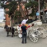Тбилиси: в гостях и дома