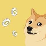 DOGE-minicate11
