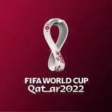 Qatar2022中文社区
