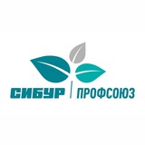 Профсоюз Сибур-Нефтехим