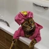 глаголю на скидочном