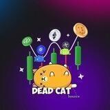 DeadCat…Bounce