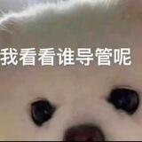 靓仔聚集地