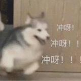 飞机社区_打新金白名单