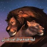 وتيني🫀🤍🦋