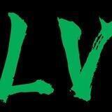 LV内部全防