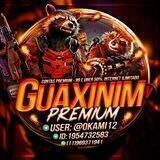 REFERÊNCIA GUAXINIM🌕☄💥