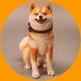 StepOfShiba