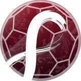World Cup Token - OFFICIAL