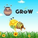 Honey Grow