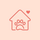 YOUR HOME VET: ветеринарная служба