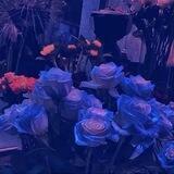蝴蝶花🌸📱口顶尖场地一手价