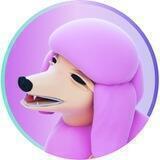 POODLEFI | SAFU