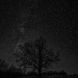 BIackPicture1